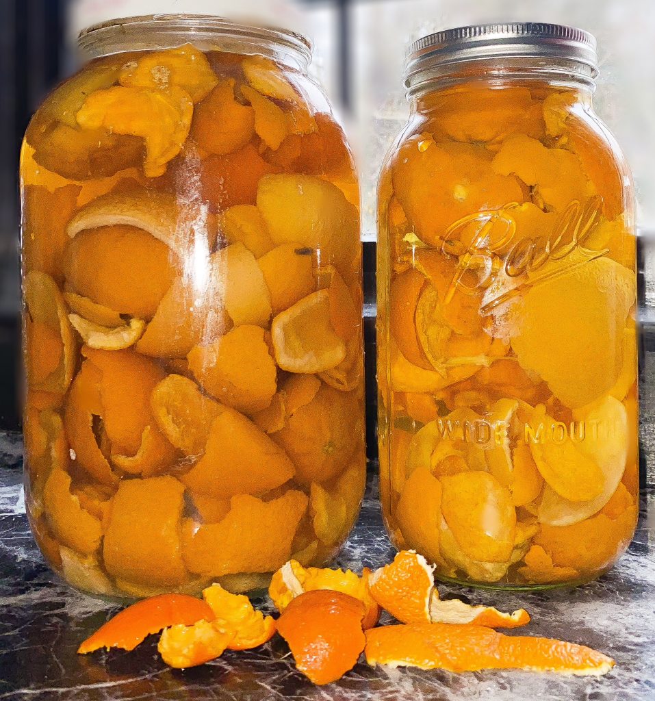 Two large jars of homemade citrus peel cleaner containing oranges, lemons, and limes.