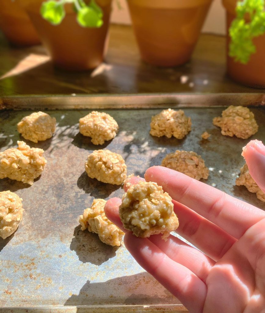 up close shot of hand holding a all-natural rat bait ball, with baking sheet containing the rest of the bait in the background